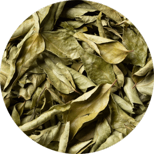 dehydrated-curry-leaves-supplier-in-hyderabad